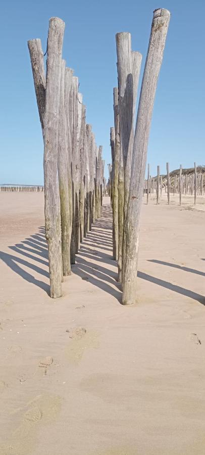 Les Salines Lägenhet Oye-Plage Exteriör bild